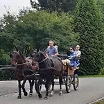 Der Perfekte Ausgangspunkt * Konigerode