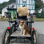 Der Perfekte Ausgangspunkt Appartement *