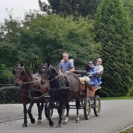 Der Perfekte Ausgangspunkt * Konigerode