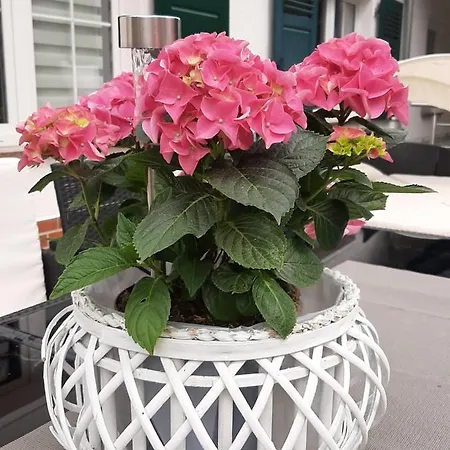 Der Perfekte Ausgangspunkt *