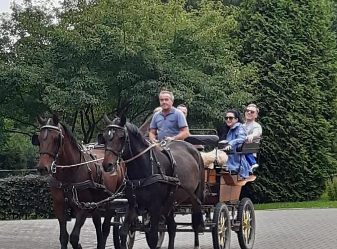 Der Perfekte Ausgangspunkt * Konigerode