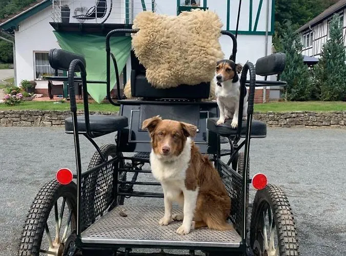 Der Perfekte Ausgangspunkt Apartman *