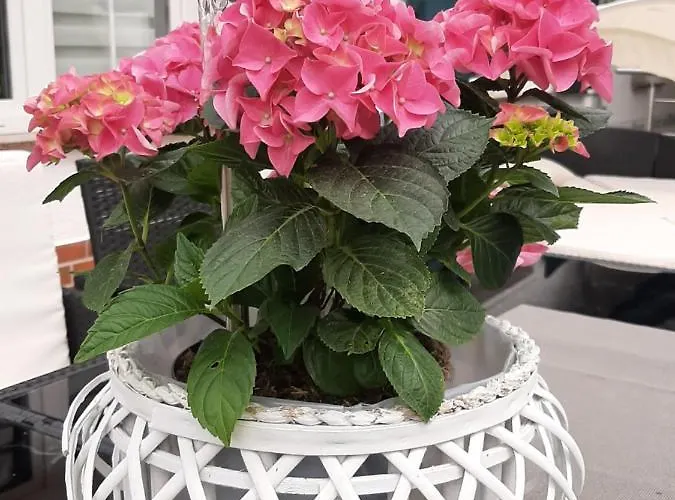 Der Perfekte Ausgangspunkt *